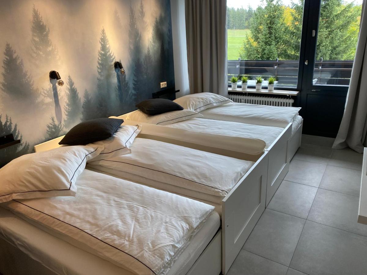 Schwarzwald Wohnung Kniebis Freudenstadt Kültér fotó